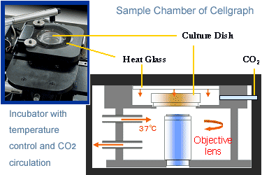 Sample chamber of Cellgraph